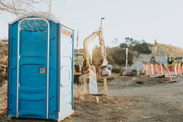 Best Sanitation services for porta potties  in Bridgeview, IL
