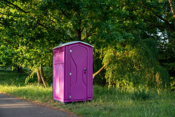 Portable Toilet Options We Offer in Bridgeview, IL
